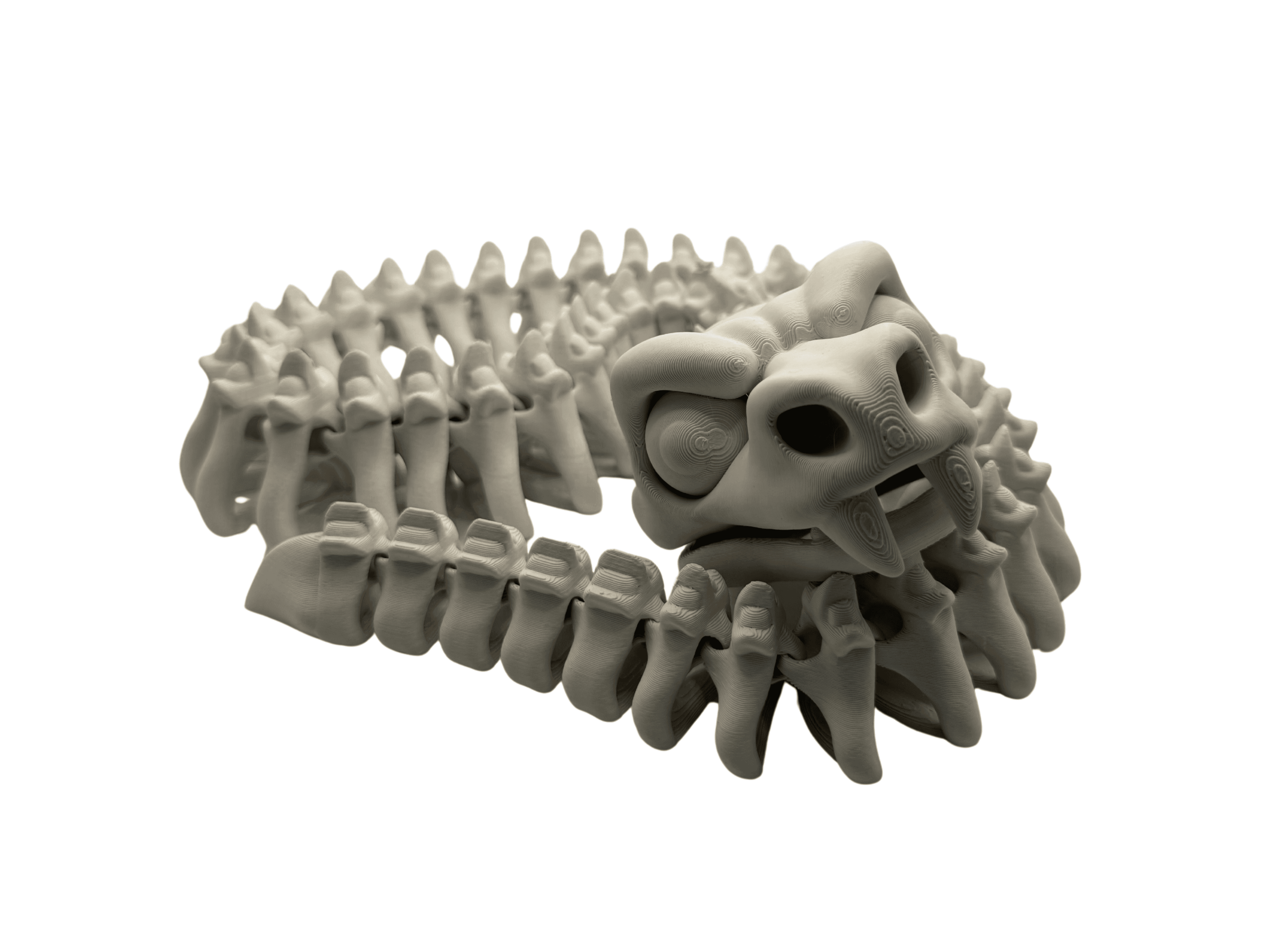 Ruchomy Wąż Szkielet – Kostek