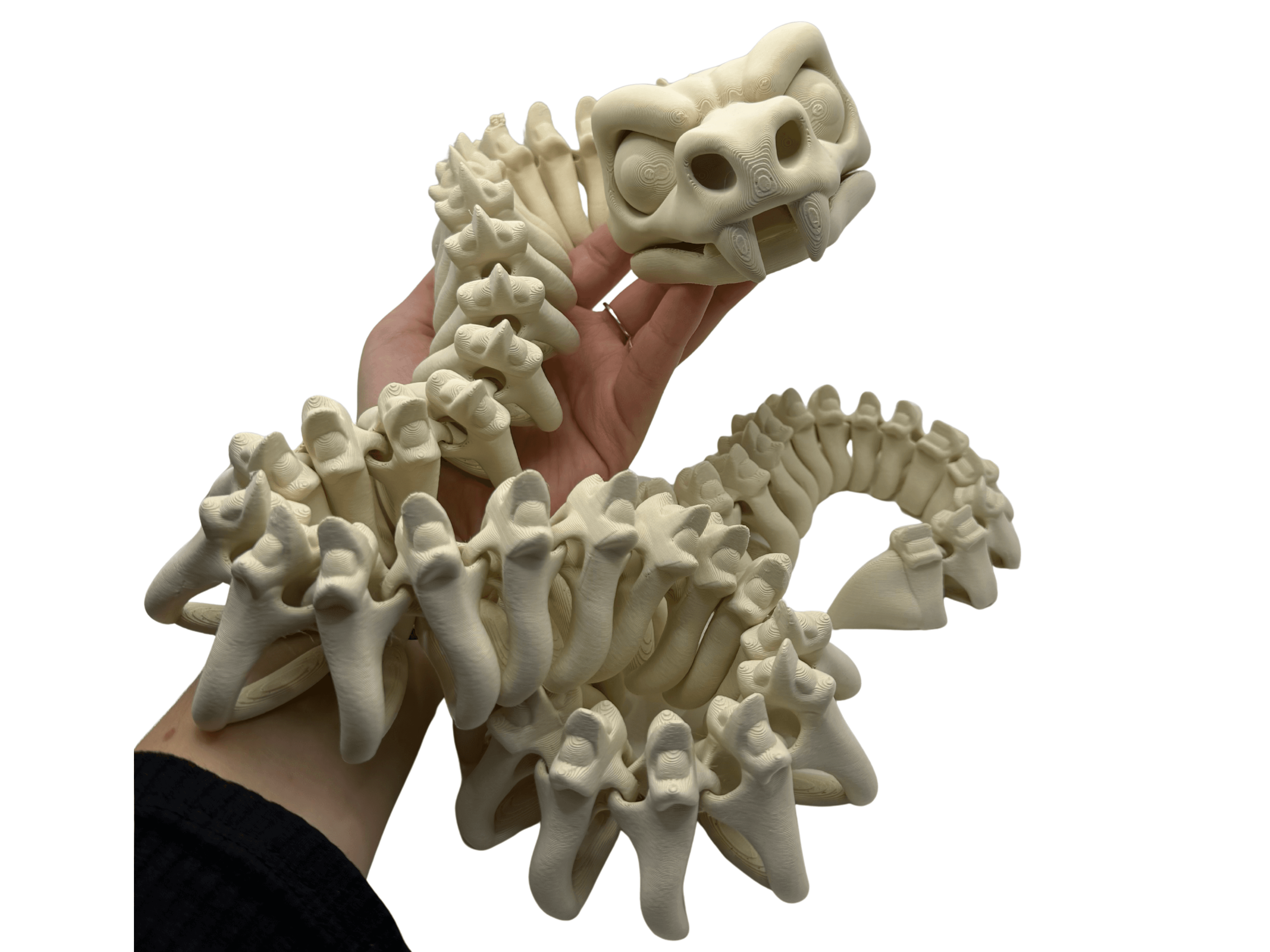 Ruchomy Wąż Szkielet – Kostek